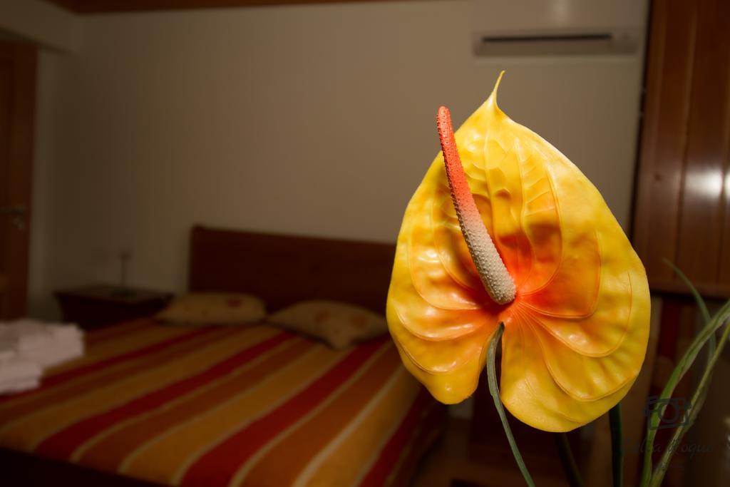 Hotel Casa Da Ribeirinha Sabugueiro  Esterno foto